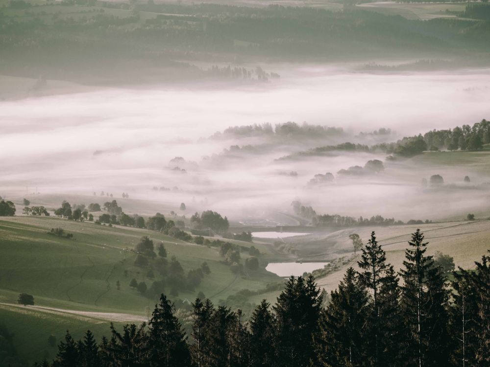 Štěpánovské rybníky (Pankrác/Servác/Bonifác)