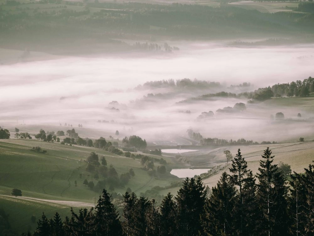 Štěpánovské rybníky (Pankrác/Servác/Bonifác)